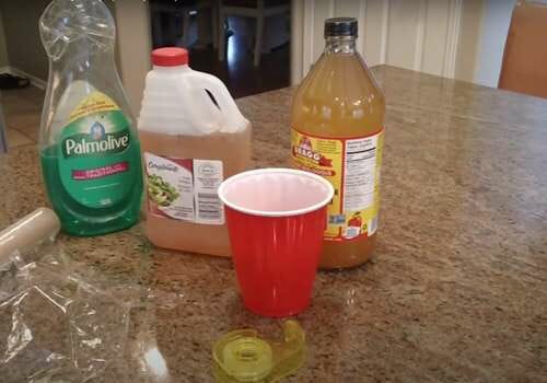 home made fruit fly trap