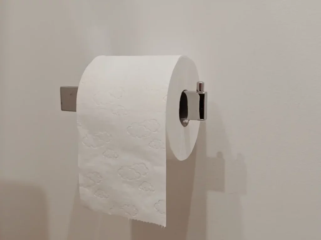 zero waste toilet paper