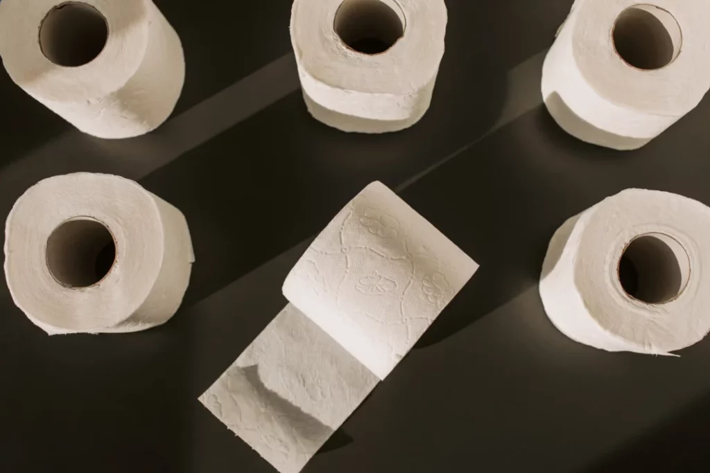 zero waste toilet paper