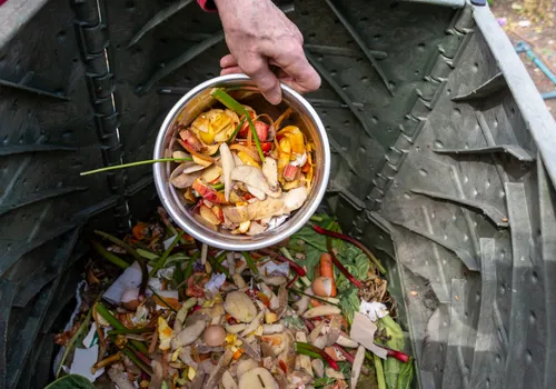 5. compost food scraps and yard waste