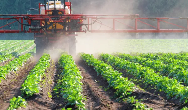 the negative effects of pesticides on our food