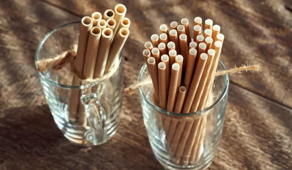 can reusable bamboo straws get moldy?