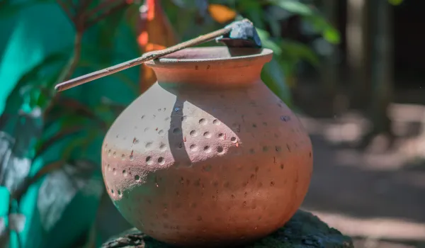 sustainable gardening: are earthen clay pots biodegradable?