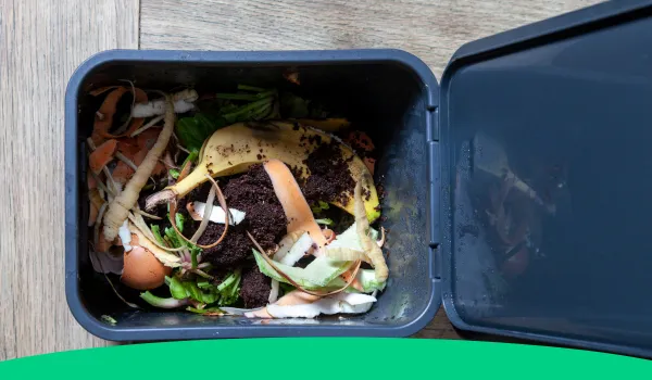 5. have a compost bin for organic waste