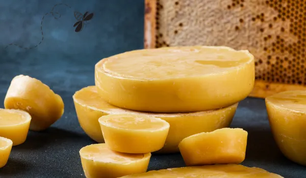 1. what is beeswax and where does it come from